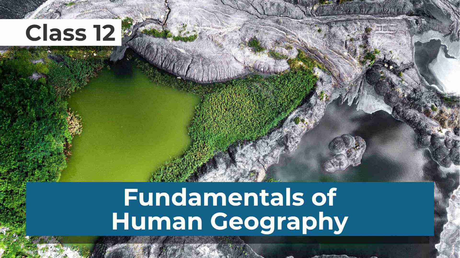 Class12_Geography_compressed